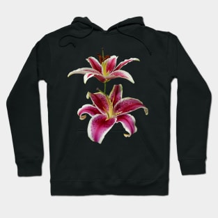 Lilies - Two Stargazer Lilies Hoodie